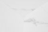 Picture of DELRAY 57cm Sintered Stone Coffee Table (Matte White)
