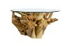 Picture of TAKARA D90 Tempered Glass Top Handcrafted Teak Root Coffee Table