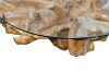 Picture of TAKARA D110 Tempered Glass Top Handcrafted Teak Root Coffee Table