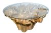 Picture of TAKARA D130 Tempered Glass Top Handcrafted Teak Root Dining Table