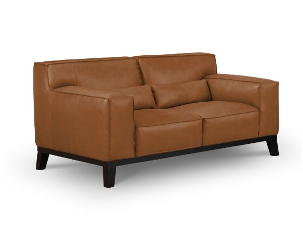 Picture of ZURICHER 100% Vintage Leather 2 Seater Sofa (Tan) 