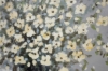 Picture of 389-004 Hand Oil Painting Canvas Wall Art (80x80CM) - Flower