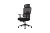 Picture of FLEXO Height Adjustable Office Chair with Adjustable Headrest & Backrest, Seat Slider (Dark)
