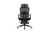 Picture of FLEXO Height Adjustable Office Chair with Adjustable Headrest & Backrest, Seat Slider (Dark)