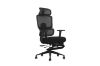 Picture of FLEXO Height Adjustable Office Chair with Adjustable Headrest & Backrest, Seat Slider (Dark)