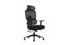 Picture of FLEXO Height Adjustable Office Chair (Dark)