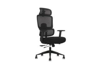 Picture of FLEXO Height Adjustable Office Chair (Dark)