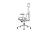Picture of FLEXO Height Adjustable Mesh Seat Office Chair with Adjustable Headrest & Backrest, Seat Slider (Grey)