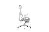 Picture of FLEXO Height Adjustable Mesh Seat Office Chair with Adjustable Headrest & Backrest, Seat Slider (Grey)