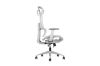Picture of FLEXO Height Adjustable Mesh Seat Office Chair (Grey)