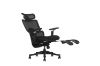 Picture of FLEXO Pro Height Adjustable Mesh Office Chair with Adjustable Headrest & Backrest, 5D Armrests and Seat Slider (Dark)