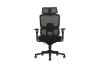 Picture of FLEXO Pro Height Adjustable Mesh Office Chair with Adjustable Headrest & Backrest, 5D Armrests and Seat Slider (Dark)
