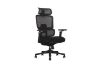 Picture of FLEXO Pro Height Adjustable Mesh Office Chair with Adjustable Headrest & Backrest, 5D Armrests and Seat Slider (Dark)