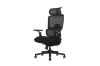 Picture of FLEXO Pro Height Adjustable Mesh Office Chair with Adjustable Headrest & Backrest, 5D Armrests and Seat Slider (Dark)