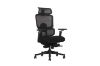 Picture of FLEXO Pro Height Adjustable Mesh Office Chair with Adjustable Headrest & Backrest, 5D Armrests and Seat Slider (Dark)