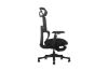 Picture of FLEXO Pro Height Adjustable Mesh Office Chair with Adjustable Headrest & Backrest, 5D Armrests and Seat Slider (Dark)