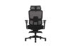 Picture of FLEXO Pro Height Adjustable Mesh Office Chair with Footrest (Dark)