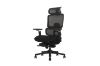 Picture of FLEXO Pro Height Adjustable Mesh Office Chair with Footrest (Dark)