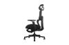 Picture of FLEXO Pro Height Adjustable Mesh Office Chair with Footrest (Dark)