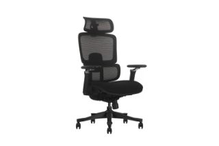 Picture of FLEXO Pro Height Adjustable Mesh Office Chair (Dark)