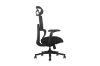 Picture of FLEXO Pro Height Adjustable Mesh Office Chair (Dark)