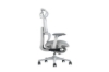 Picture of FLEXO Pro Height Adjustable Mesh Office Chair with Adjustable Headrest & Backrest, 5D Armrests and Seat Slider (Grey)