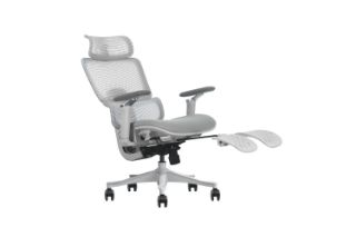 Picture of FLEXO Pro Height Adjustable Mesh Office Chair with Footrest (Grey)