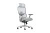 Picture of FLEXO Pro Height Adjustable Mesh Office Chair (Grey)