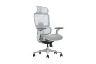Picture of FLEXO Pro Height Adjustable Mesh Office Chair (Grey)