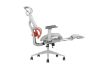 Picture of NEXEN Pro High Back Office Chair with Adjustable Headrest, Lumbar Support, 3D Armrests and Seat Slider