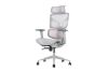 Picture of NEXEN Pro High Back Office Chair with Adjustable Headrest, Lumbar Support, 3D Armrests and Seat Slider