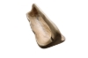 Picture of 650-031 Solid Teak Wood Rectangular Bowl with Handle (40cmx18cm)