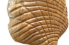 Picture of 650-041 Shell Solid Teak Wood Decorative Sculpture (40cmx50cm)