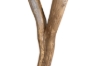 Picture of ROOTRA 90 Handcrafted Teak Root Console Table